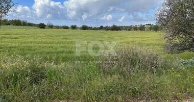 Land For Sale In Anarita Paphos Cyprus