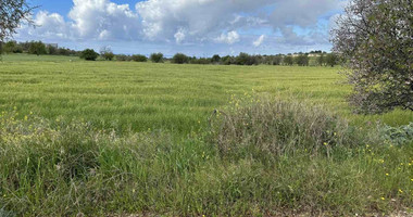 Land For Sale In Anarita Paphos Cyprus