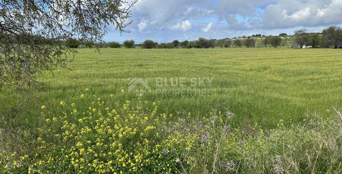 Land For Sale In Anarita Paphos Cyprus
