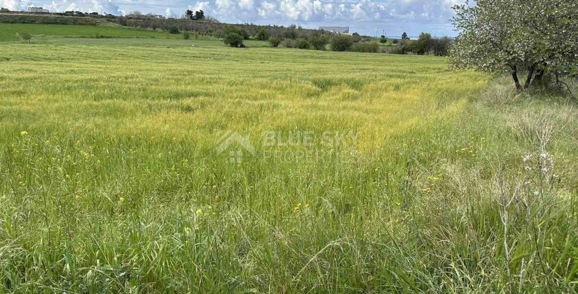 Land For Sale In Anarita Paphos Cyprus