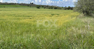 Land For Sale In Anarita Paphos Cyprus