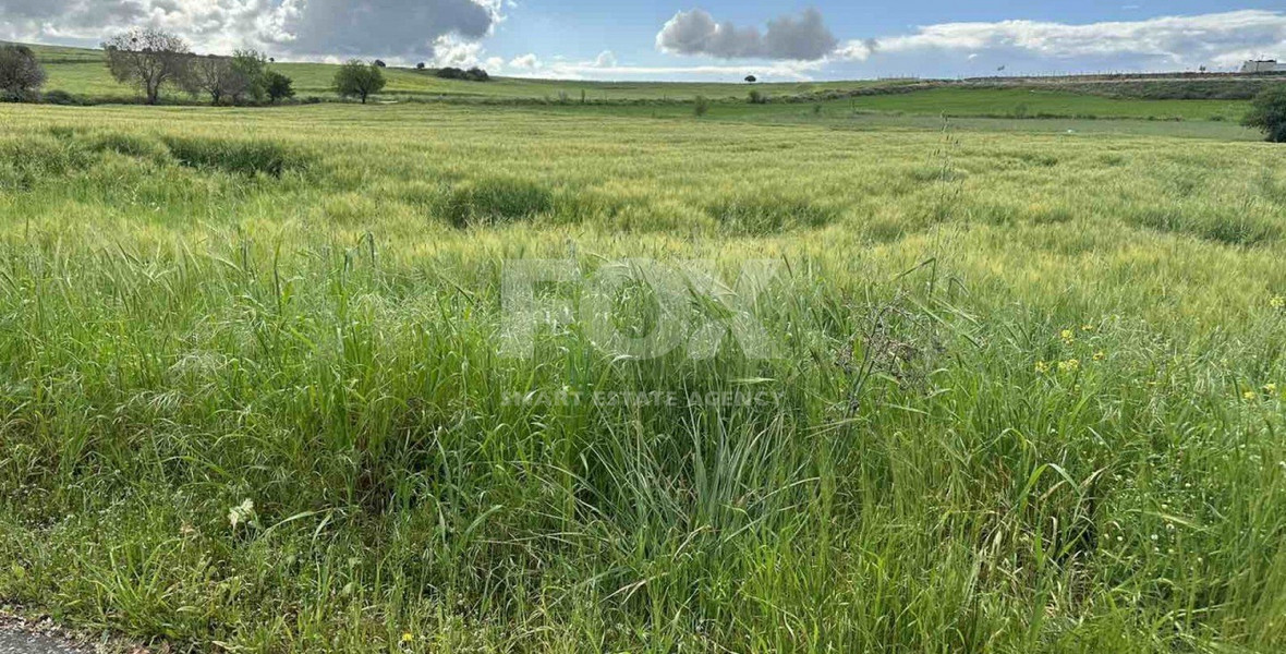 Land For Sale In Anarita Paphos Cyprus