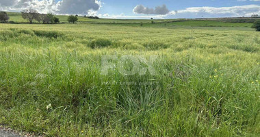 Land For Sale In Anarita Paphos Cyprus
