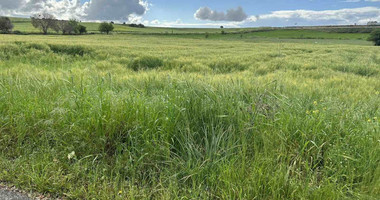 Land For Sale In Anarita Paphos Cyprus