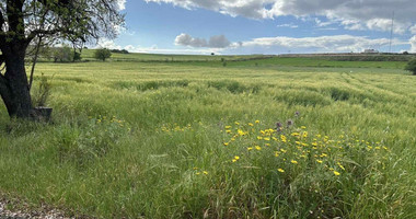 Land For Sale In Anarita Paphos Cyprus