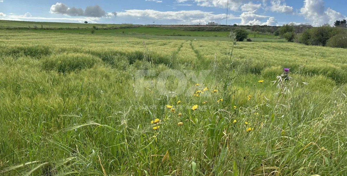 Land For Sale In Anarita Paphos Cyprus
