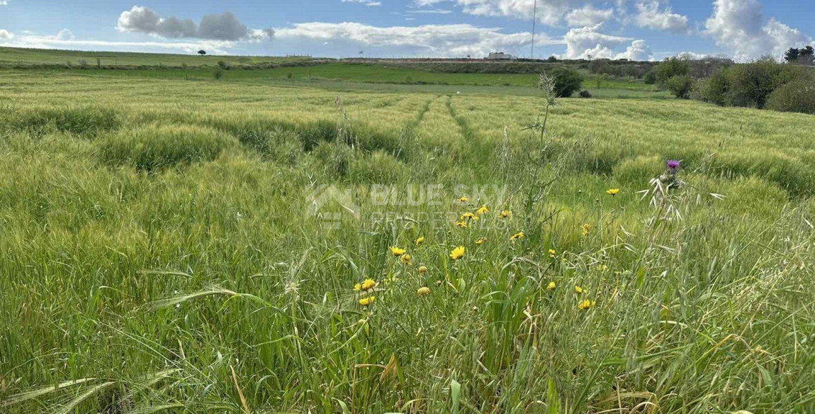 Land For Sale In Anarita Paphos Cyprus