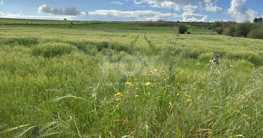 Land For Sale In Anarita Paphos Cyprus