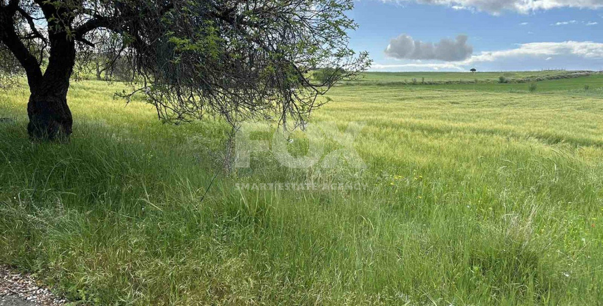 Land For Sale In Anarita Paphos Cyprus