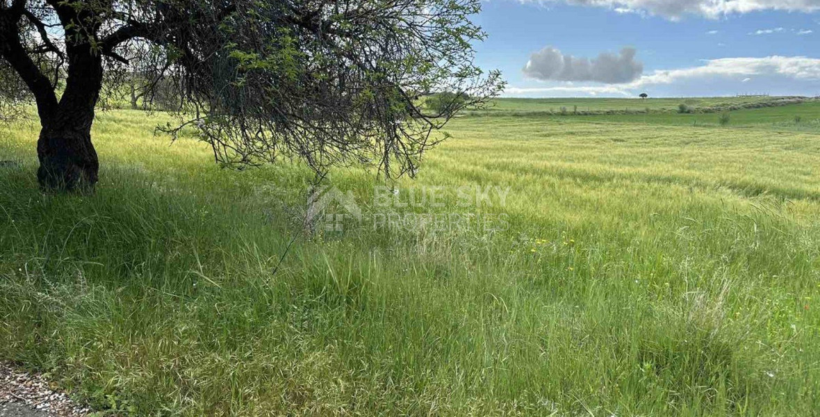 Land For Sale In Anarita Paphos Cyprus
