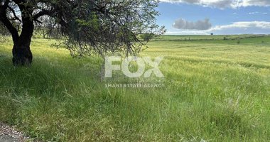 Land For Sale In Anarita Paphos Cyprus