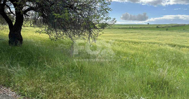 Land For Sale In Anarita Paphos Cyprus