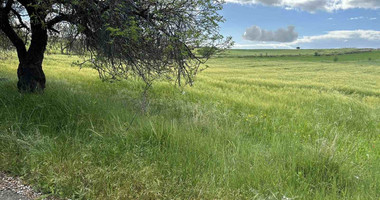Land For Sale In Anarita Paphos Cyprus