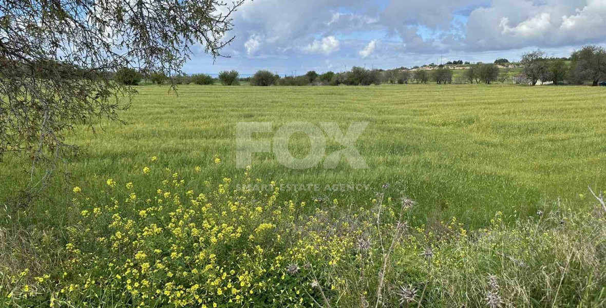 Land For Sale In Anarita Paphos Cyprus