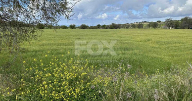 Land For Sale In Anarita Paphos Cyprus