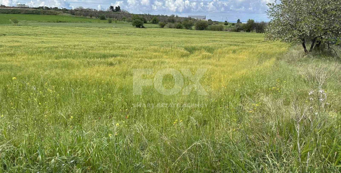 Land For Sale In Anarita Paphos Cyprus