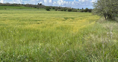 Land For Sale In Anarita Paphos Cyprus