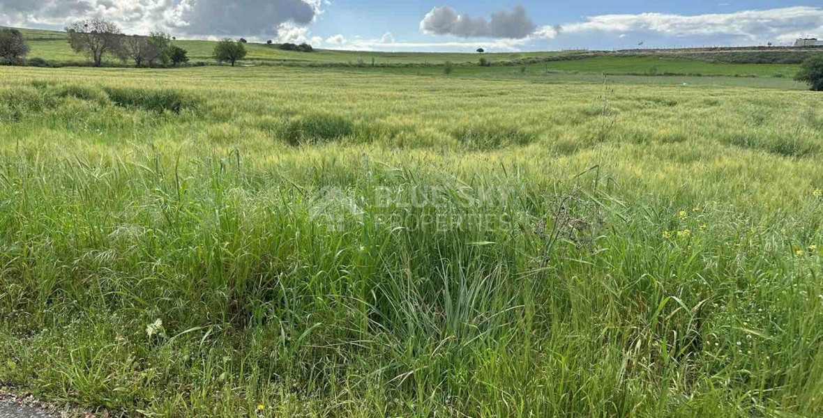 Land For Sale In Anarita Paphos Cyprus
