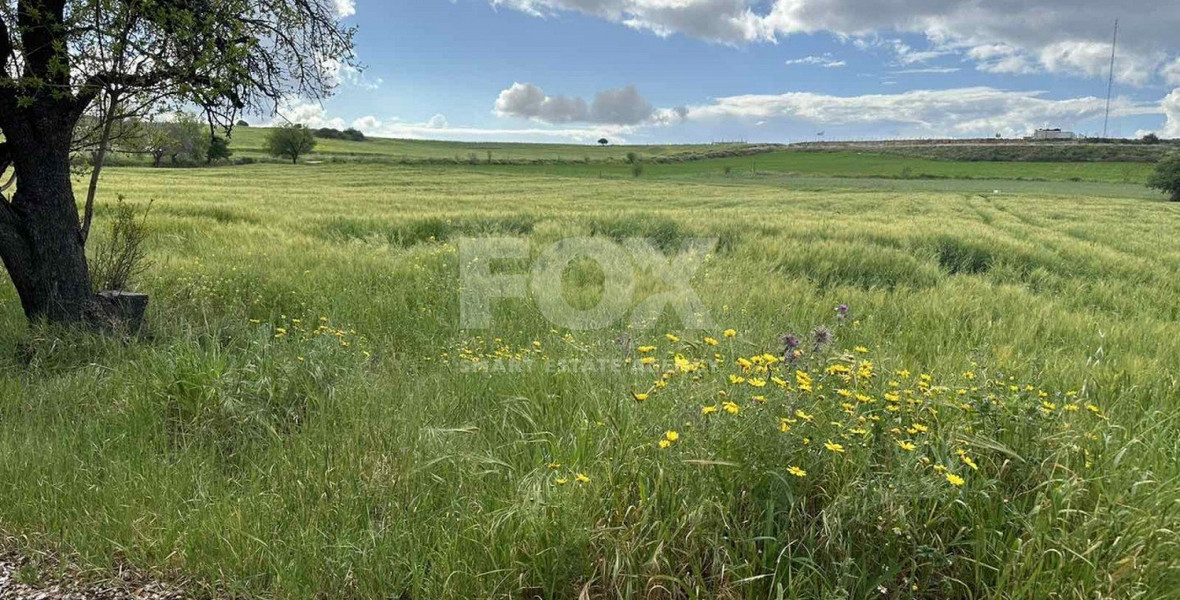 Land For Sale In Anarita Paphos Cyprus