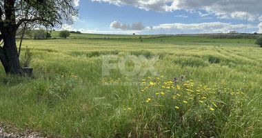 Land For Sale In Anarita Paphos Cyprus