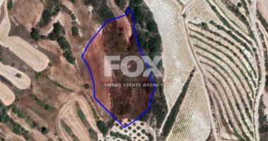 Land For Sale In Stroumpi Paphos Cyprus