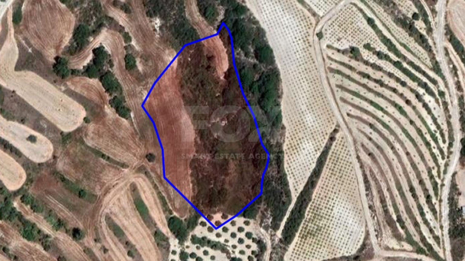 Land For Sale In Stroumpi Paphos Cyprus