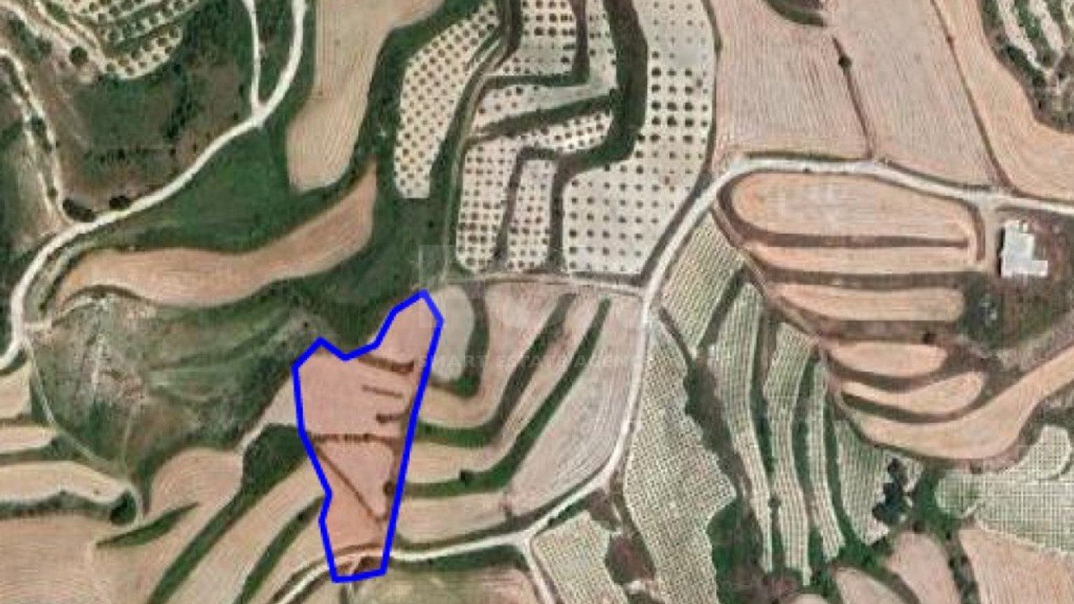 Land For Sale In Stroumpi Paphos Cyprus
