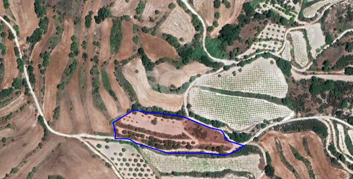 Land For Sale In Polemi Paphos Cyprus