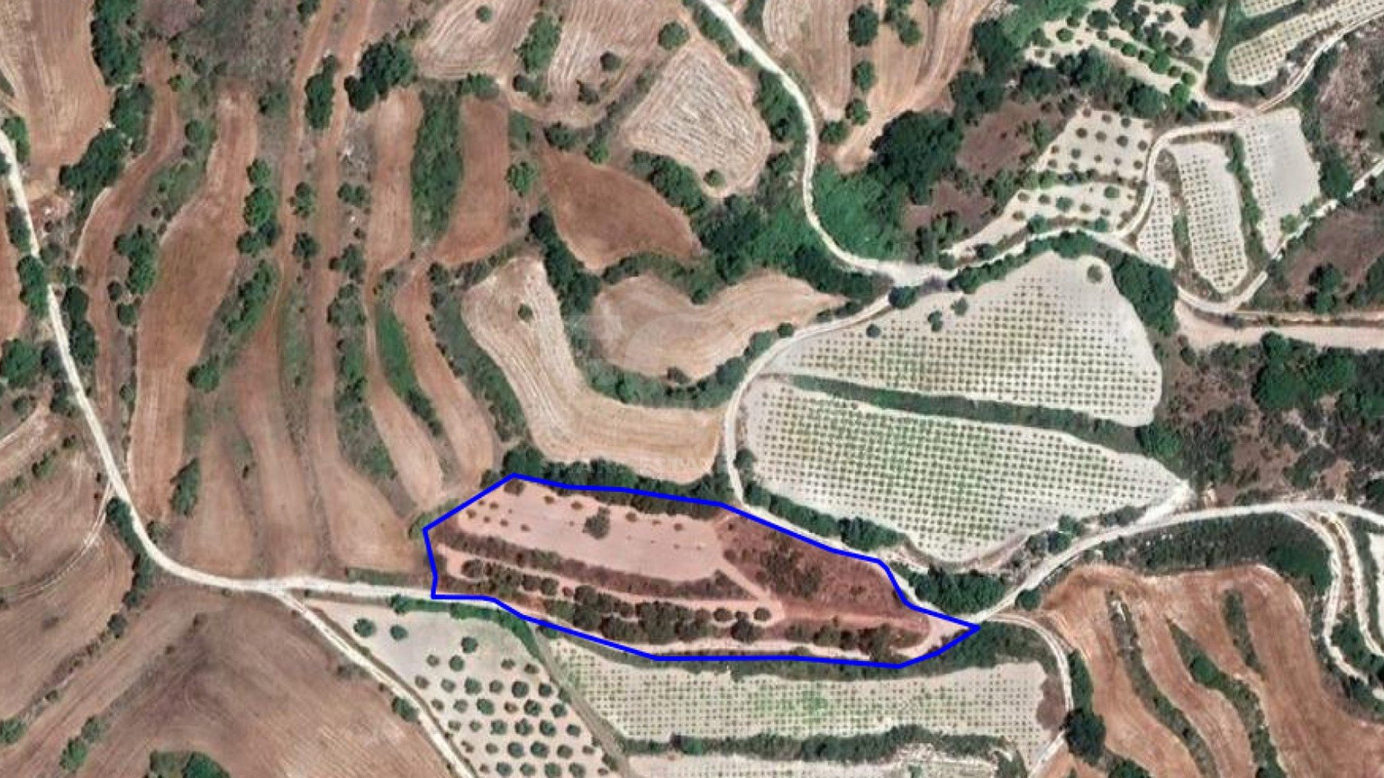Land For Sale In Polemi Paphos Cyprus