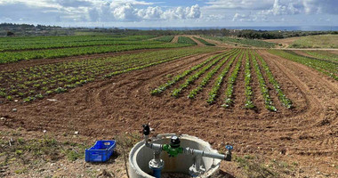 Land In Anarita Paphos Cyprus