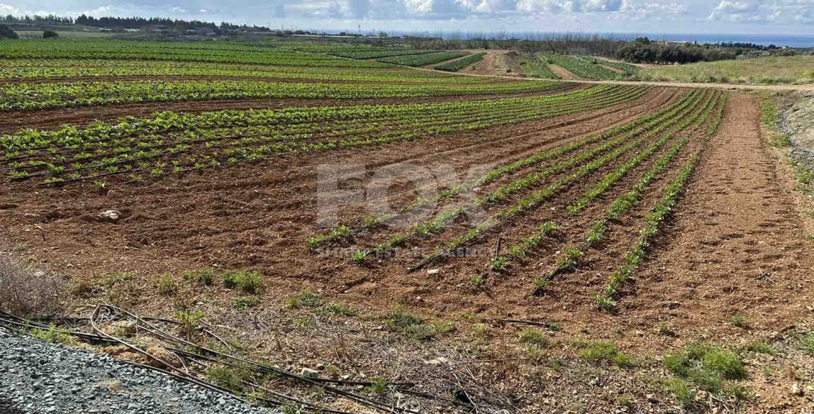 Land In Anarita Paphos Cyprus
