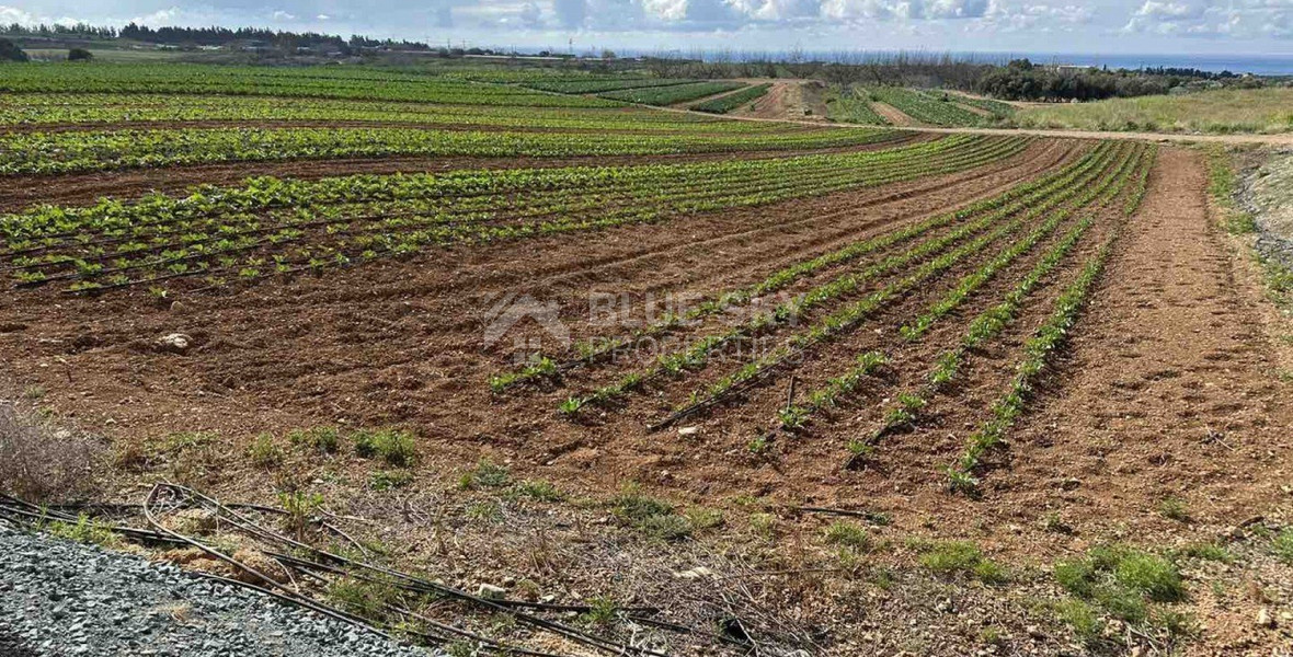 Land In Anarita Paphos Cyprus