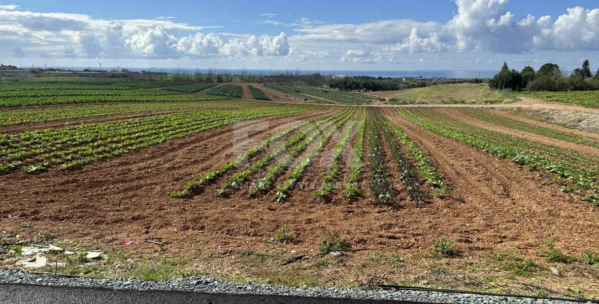 Land In Anarita Paphos Cyprus