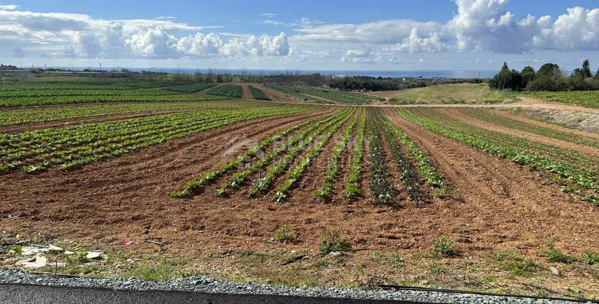 Land In Anarita Paphos Cyprus