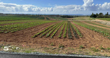 Land In Anarita Paphos Cyprus