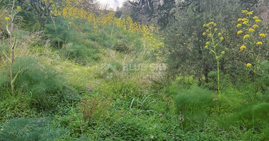 Land In Tremithousa Paphos Cyprus