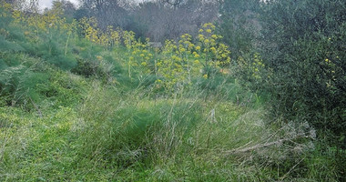 Land In Tremithousa Paphos Cyprus