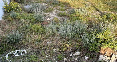 Plot For Sale In Anarita Paphos Cyprus