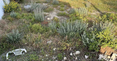 Plot For Sale In Anarita Paphos Cyprus