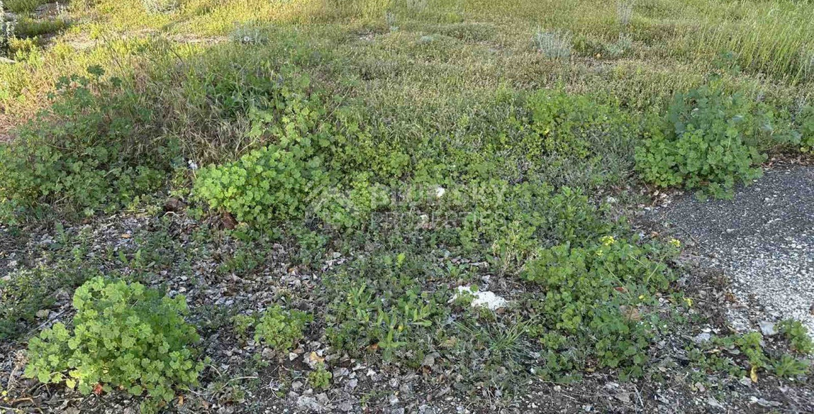 Plot For Sale In Anarita Paphos Cyprus