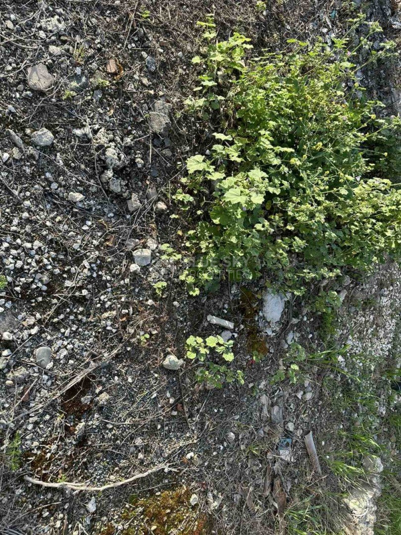 Plot For Sale In Anarita Paphos Cyprus