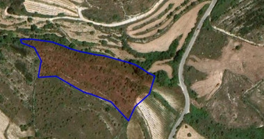 Land For Sale In Kathikas Paphos Cyprus