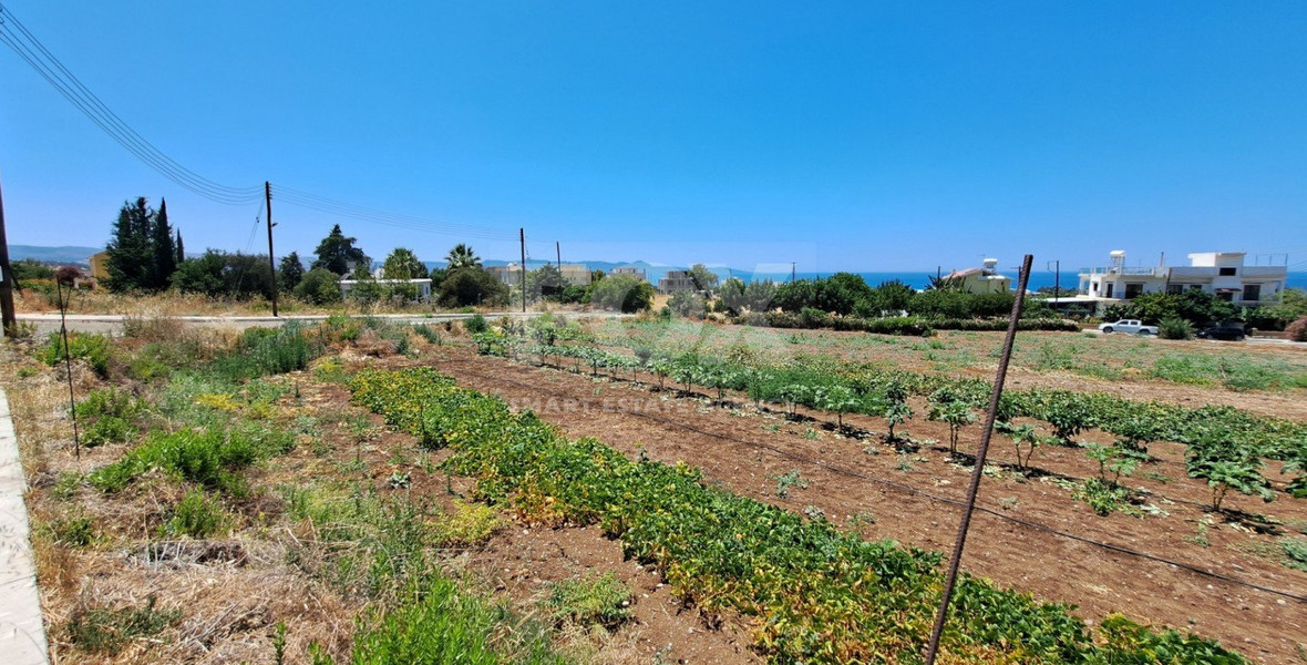 Plot  In Argaka Paphos Cyprus