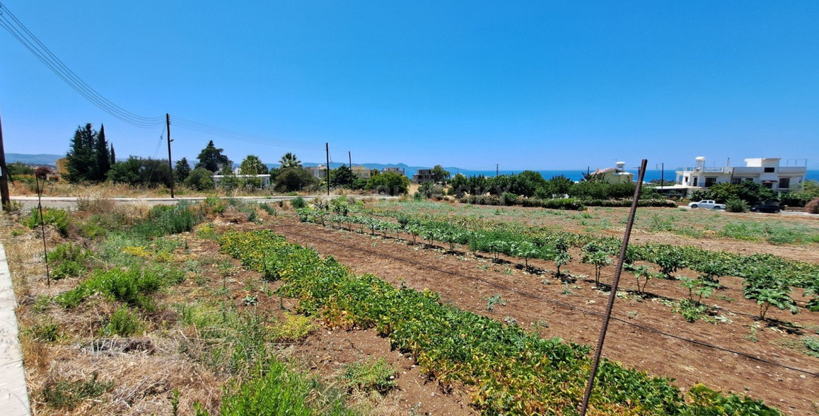 Plot  In Argaka Paphos Cyprus