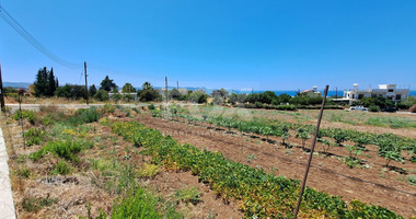 Plot  In Argaka Paphos Cyprus