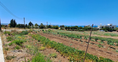 Plot  In Argaka Paphos Cyprus
