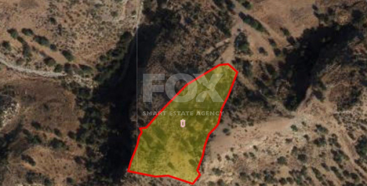 Land For Sale In Pegeia Paphos Cyprus