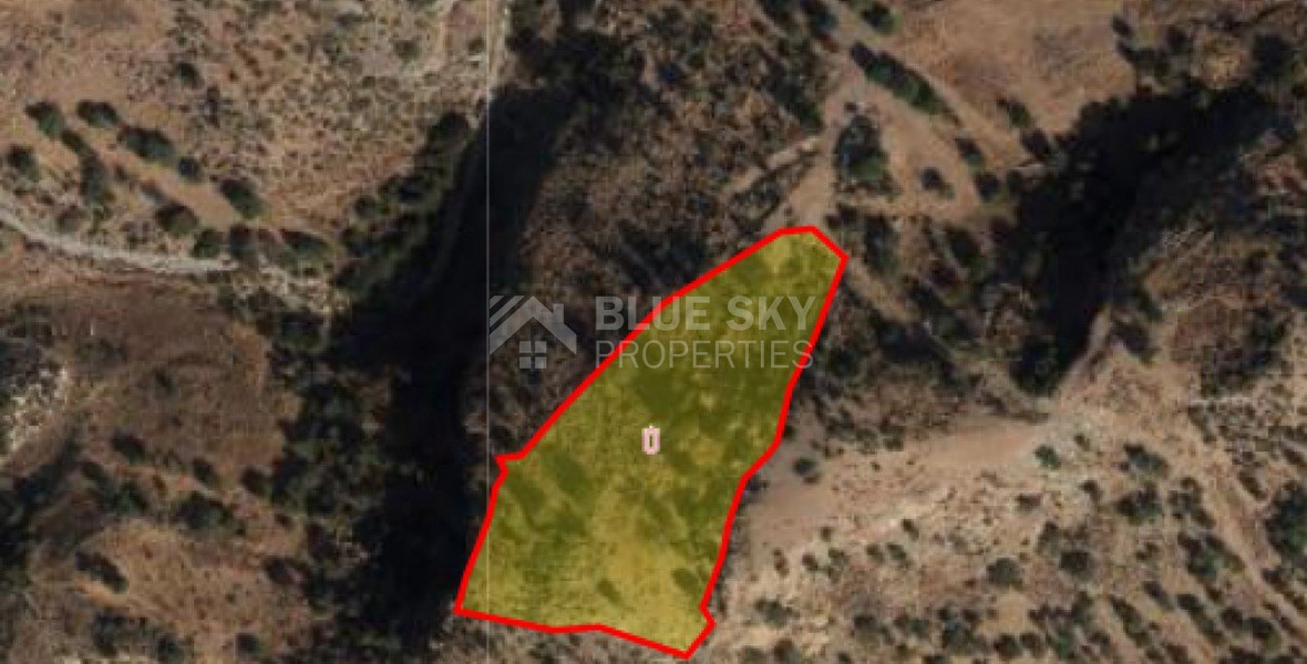 Land For Sale In Pegeia Paphos Cyprus