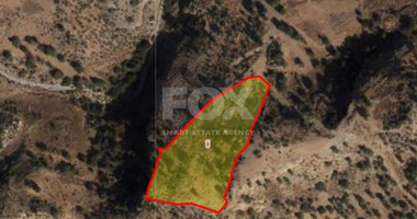 Land For Sale In Pegeia Paphos Cyprus