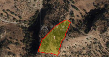 Land For Sale In Pegeia Paphos Cyprus